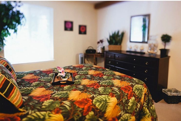 A tranquil massage room with a colorful bed cover, plants, and soothing decor.