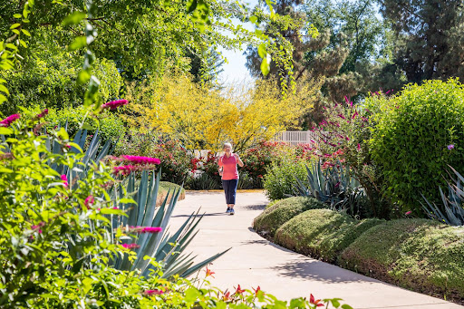 A serene pathway through a vibrant garden filled with colorful flowers, inviting a peaceful stroll.