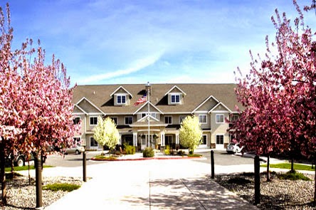 A charming residential building surrounded by blooming trees and a clear blue sky.