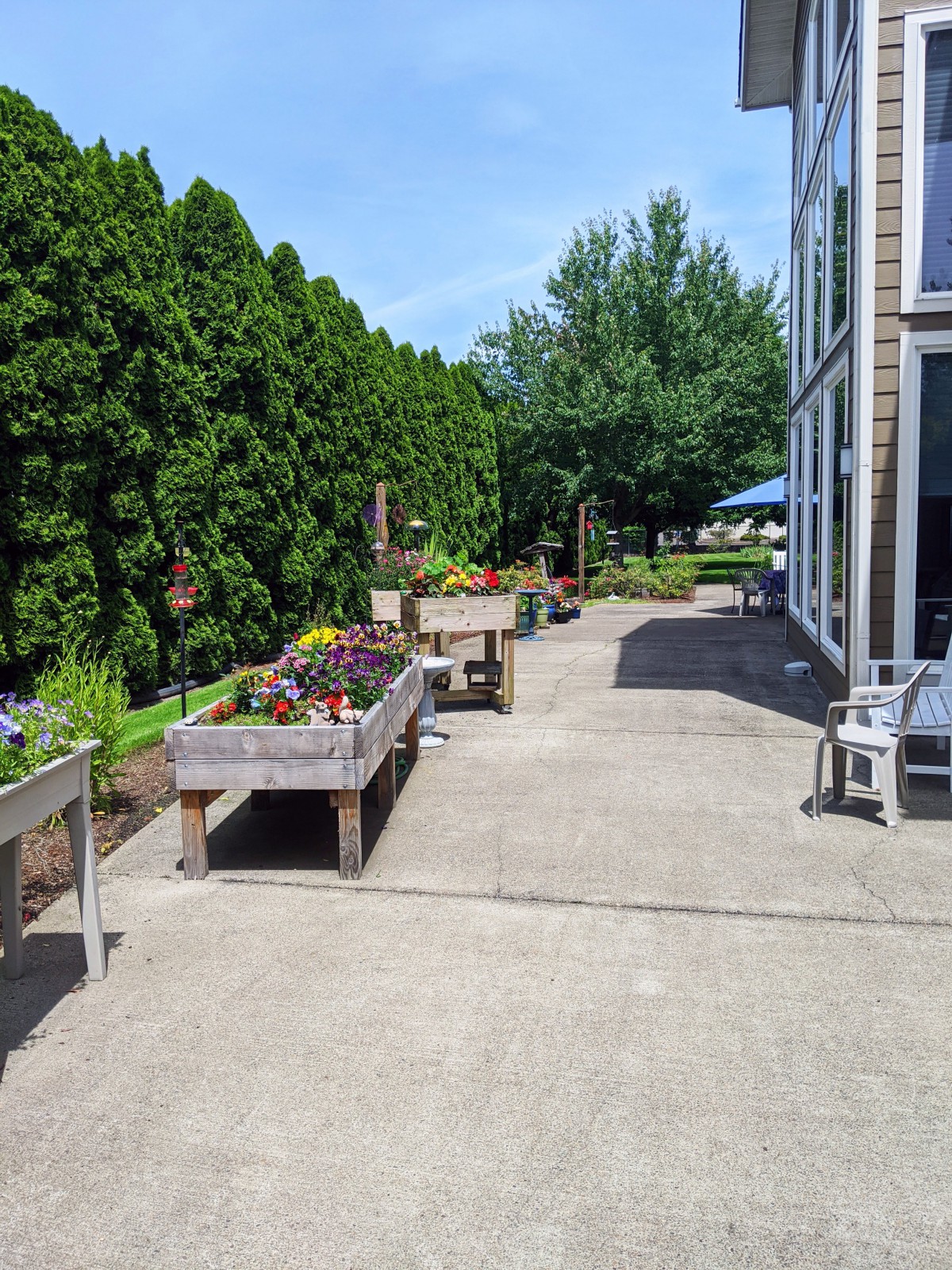 A peaceful garden patio with planters full of colorful flowers on a sunny day.