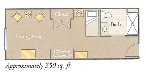 A floor plan of an apartment approximately 350 sq. ft., including a main living area, closet, and bathroom.
