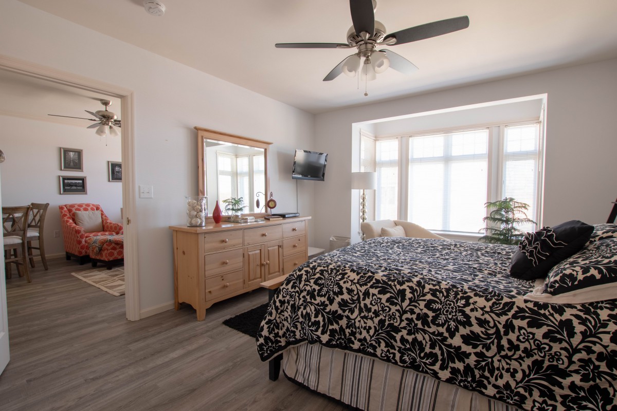 A modern bedroom with a large bed, dresser, ceiling fan, and a bright window.