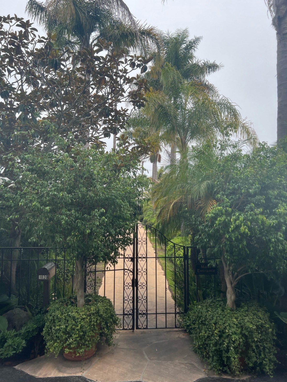 A gated pathway surrounded by lush greenery and palm trees.