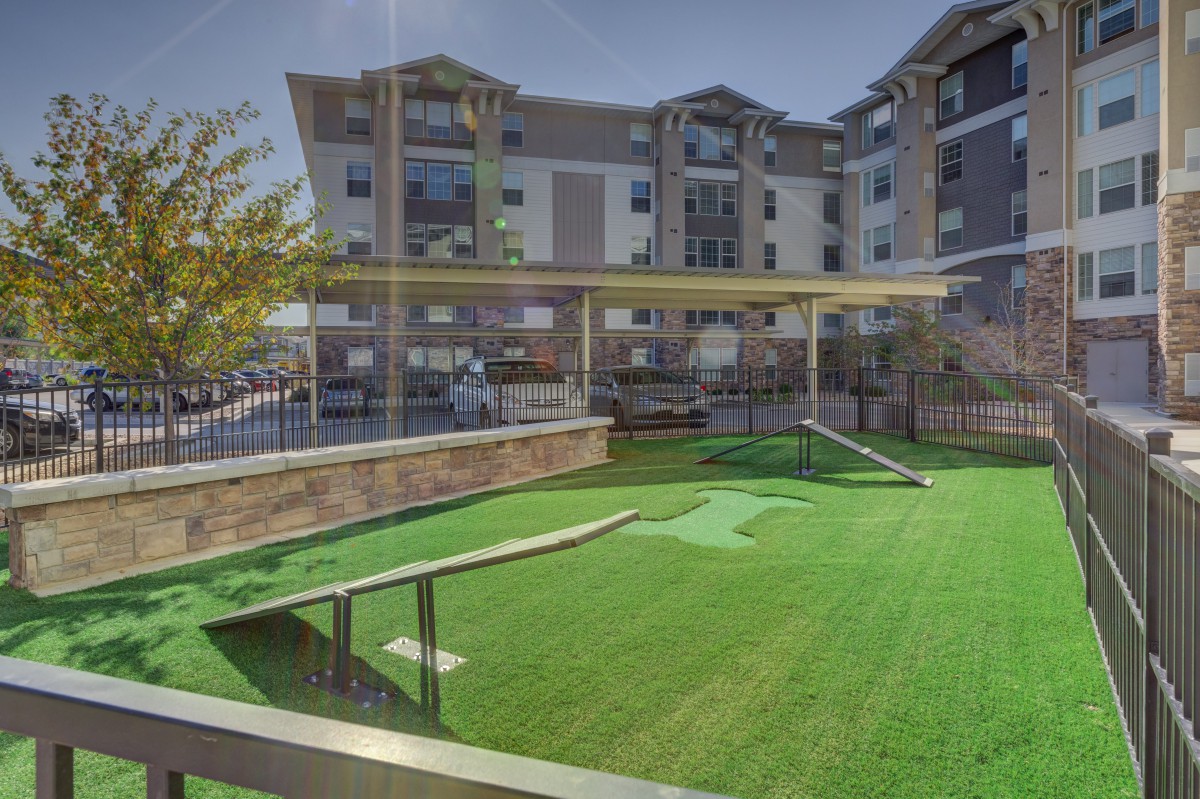 A modern dog park with artificial turf and agility equipment, set against the backdrop of an apartment complex.