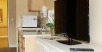 A kitchen countertop with a sink, microwave, and a small plant.