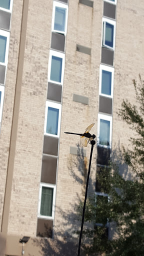Baptist Towers