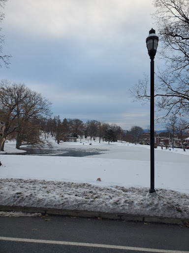 A serene winter scene with a snow-covered park and a frozen pond under a cloudy sky.