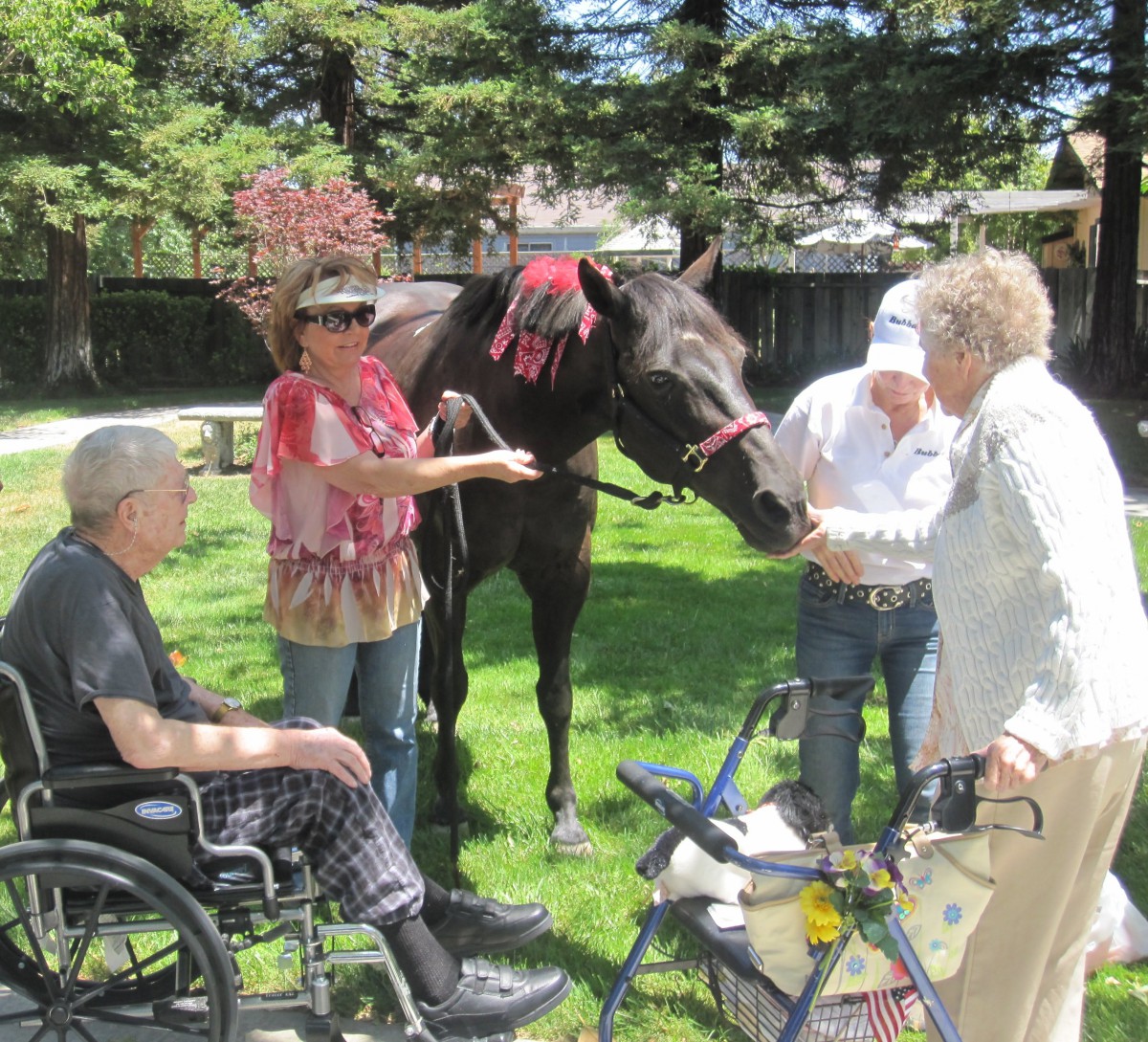 A group of people, including seniors and a person in a wheelchair, interact with a horse in a park setting.