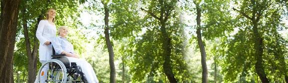 A serene view of sunlight filtering through lush green trees in a forest.