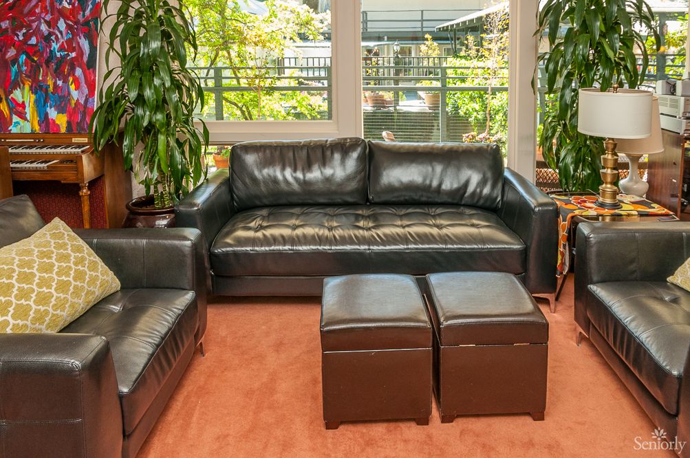 A cozy living room featuring a black leather sofa and matching ottomans, surrounded by green plants and bright natural light from large windows.