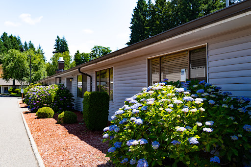 A charming residential area with vibrant blue hydrangeas blooming beside a well-maintained home under clear skies.