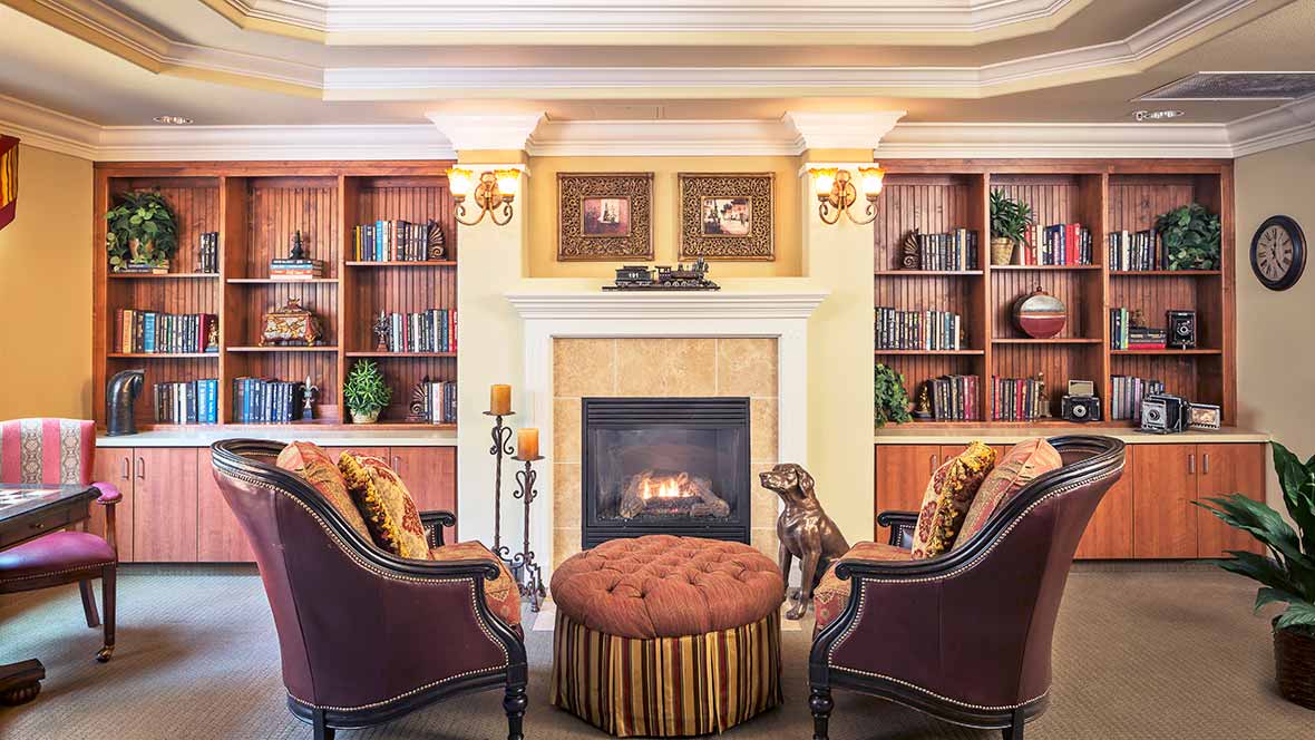 A cozy living room with a fireplace, surrounded by bookshelves and elegant armchairs.