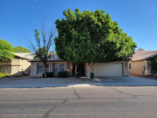 A charming suburban home with a large tree in the front yard on a clear day.