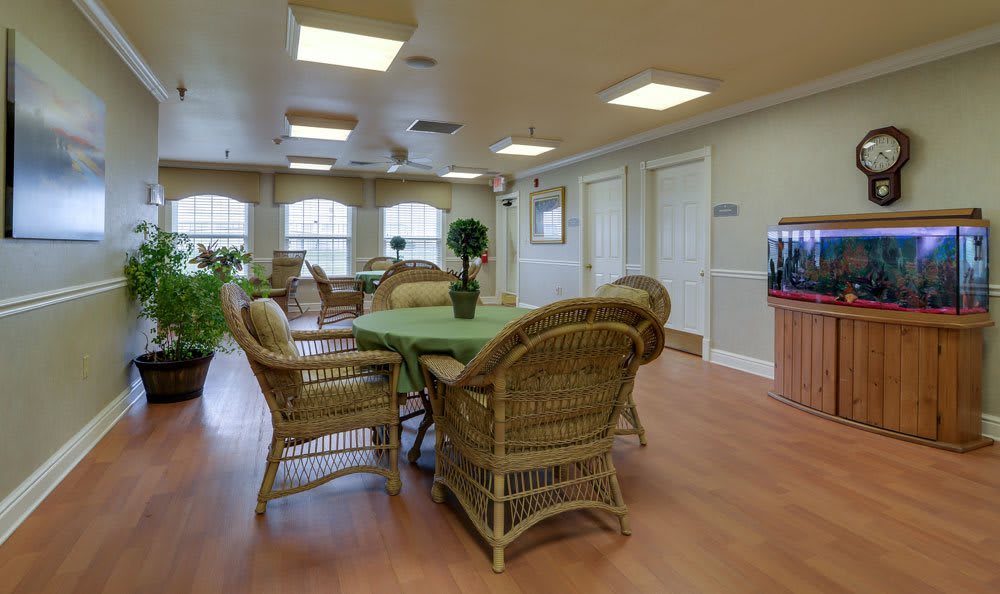 A cozy seating area with wicker chairs and a table surrounded by plants, set in a well-lit room with large windows and wooden flooring.