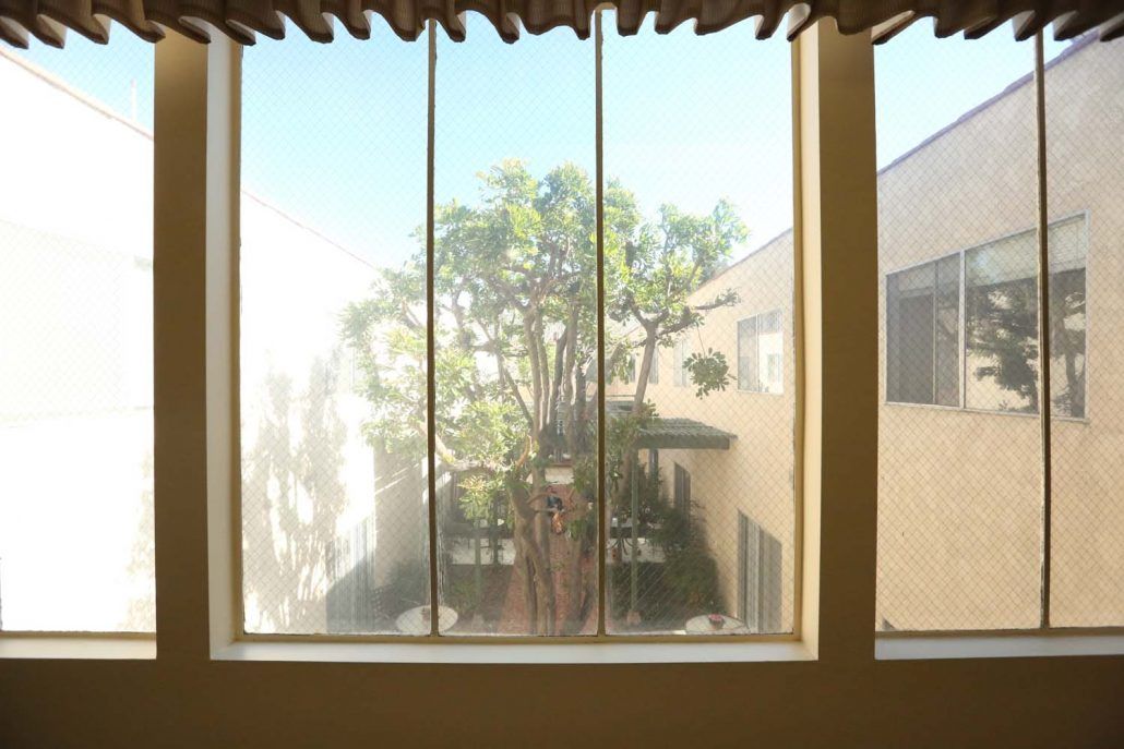 View through a window showcasing a tree in a courtyard surrounded by buildings.