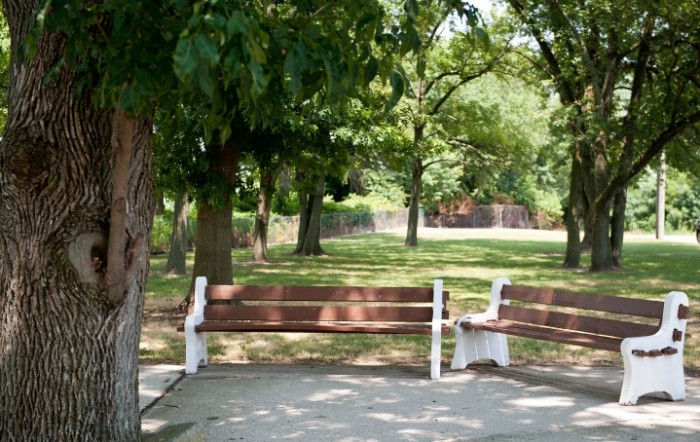 A peaceful park scene with benches under the shade of trees.