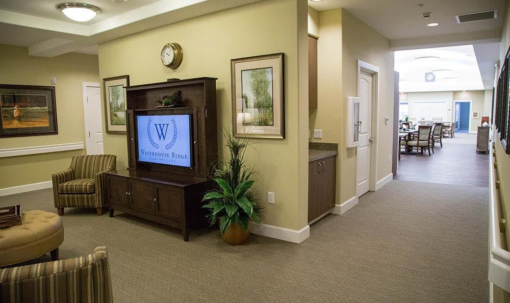 A cozy living room with a television, decorative plants, and art on the walls.