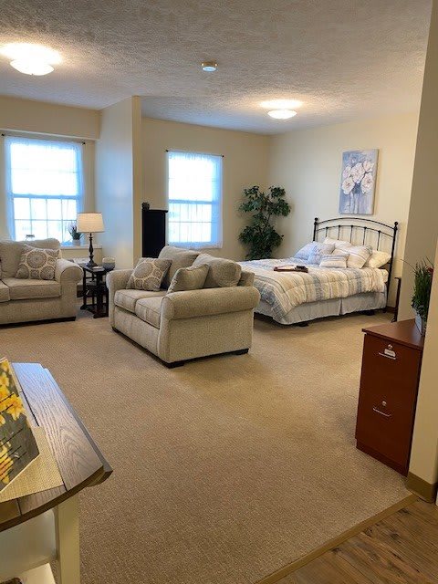 A cozy room combining a living area with sofas and a bedroom area with a bed.
