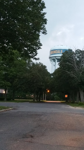A water tower rises above the treetops, providing a glimpse of the town's infrastructure against a moody evening sky.