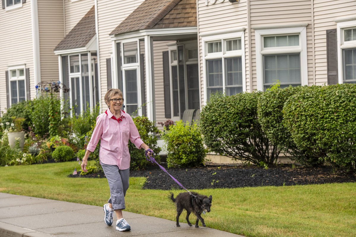 A woman walking her dog on a sidewalk in front of residential houses.