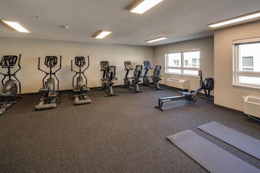 A modern gym space equipped with elliptical and rowing machines, designed for fitness enthusiasts.