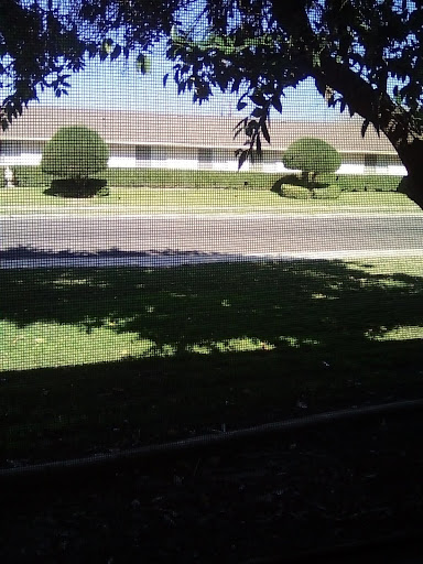 A peaceful view of a well-maintained lawn with neatly trimmed bushes and trees, overlooking a quiet road.