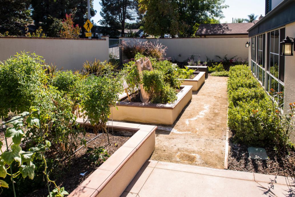 Redwood Terrace
