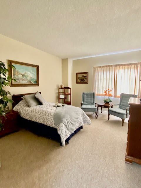 A cozy bedroom featuring a single bed, two armchairs, and decorative elements such as paintings and a potted plant.