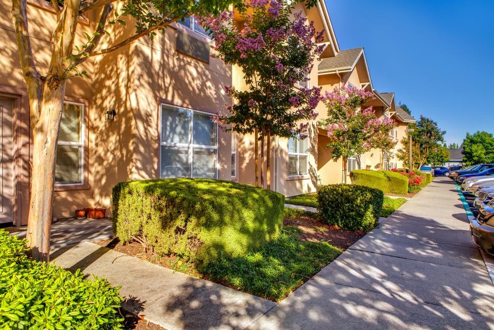 A sunny, tree-lined residential area with well-maintained shrubs and a sidewalk.