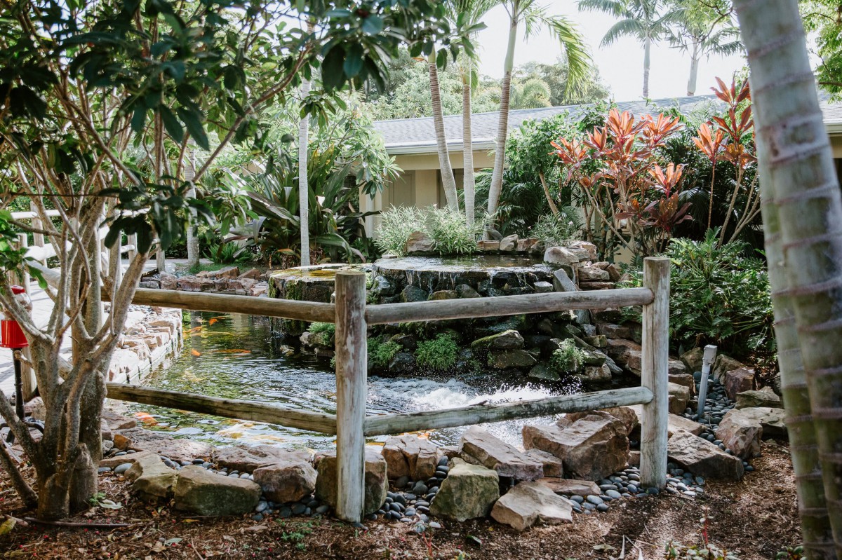 A serene garden featuring a small pond with a cascading waterfall surrounded by lush plants and a rustic wooden fence.