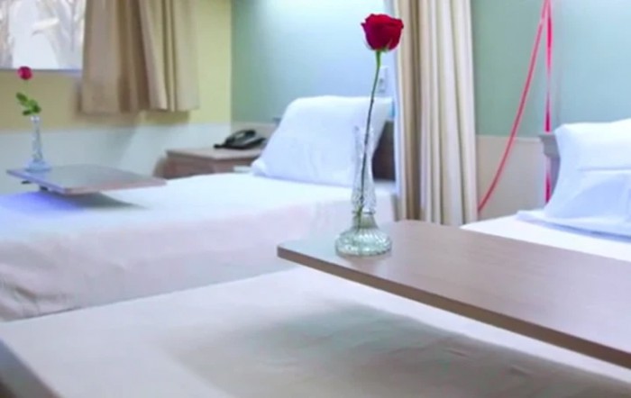 A hospital room with a bed and a single red rose in a vase on the table.