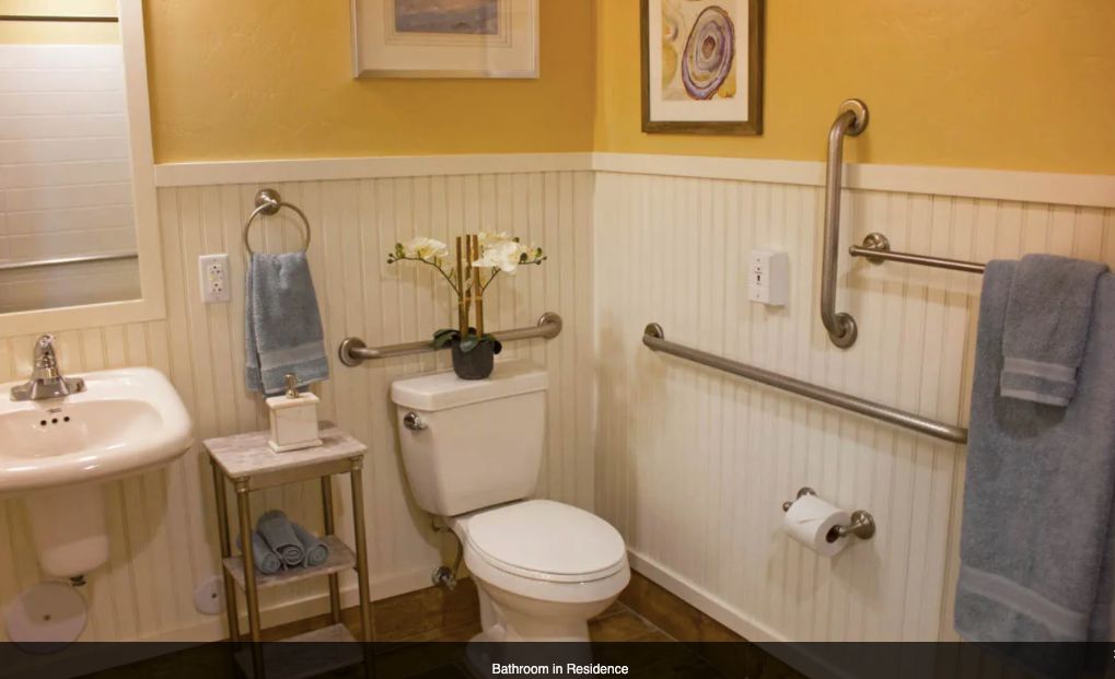 An accessible bathroom with grab bars and decorative elements.