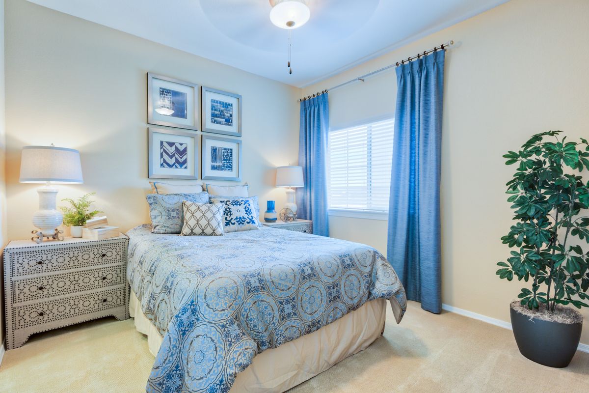 A cozy bedroom with blue accents and stylish decor.