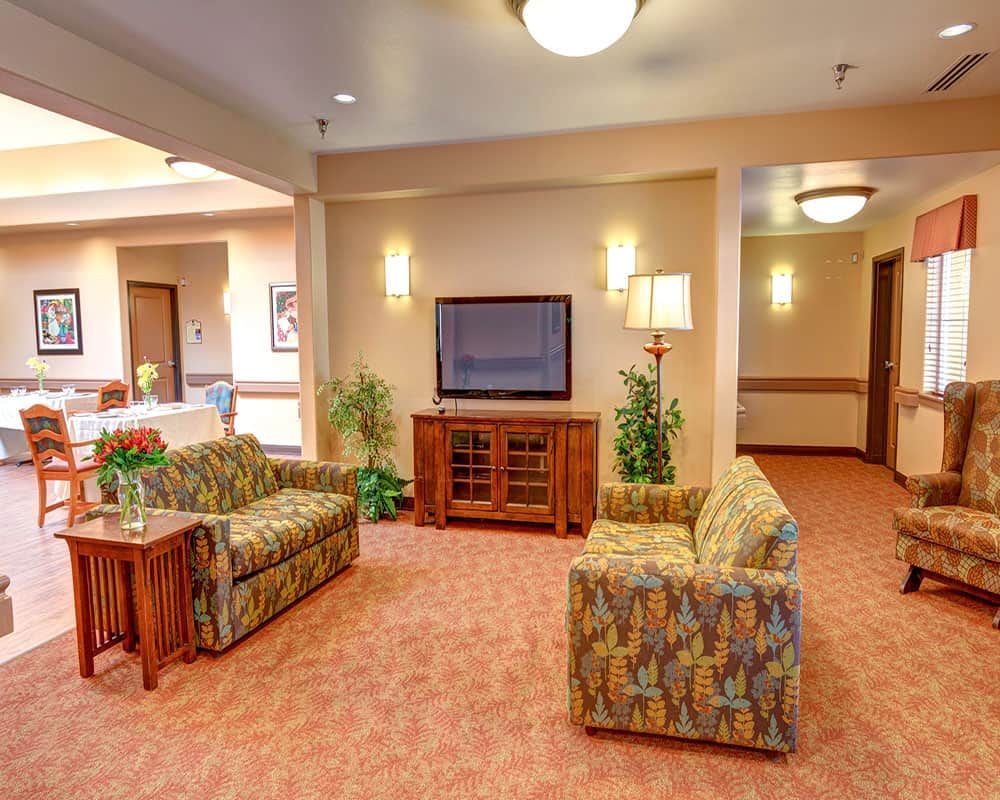 A cozy living room with patterned sofas, a TV, lamps, and indoor plants.
