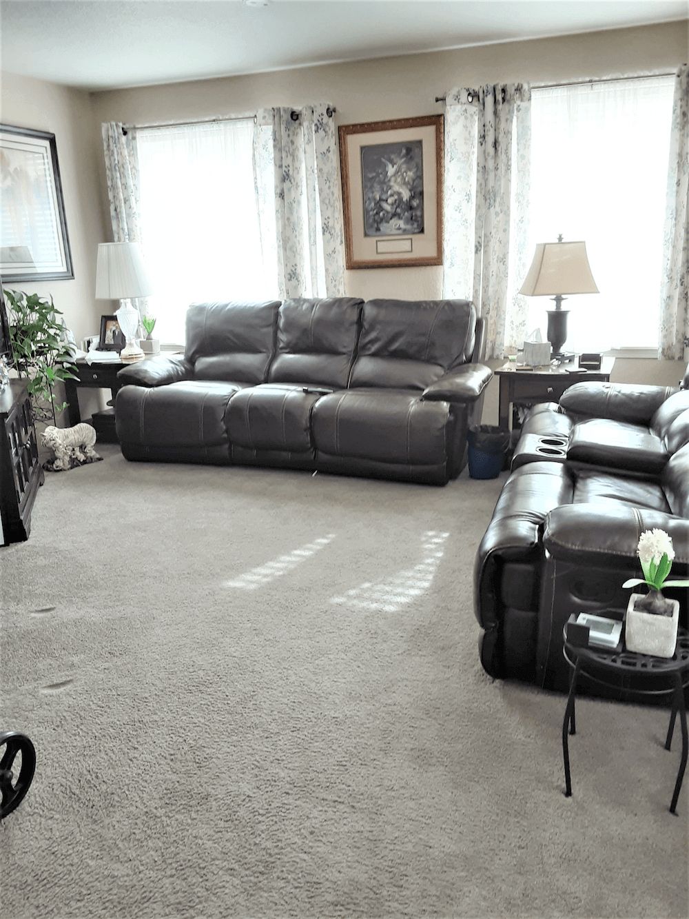 A cozy living room with leather sofas, a carpeted floor, and natural light coming through the windows.