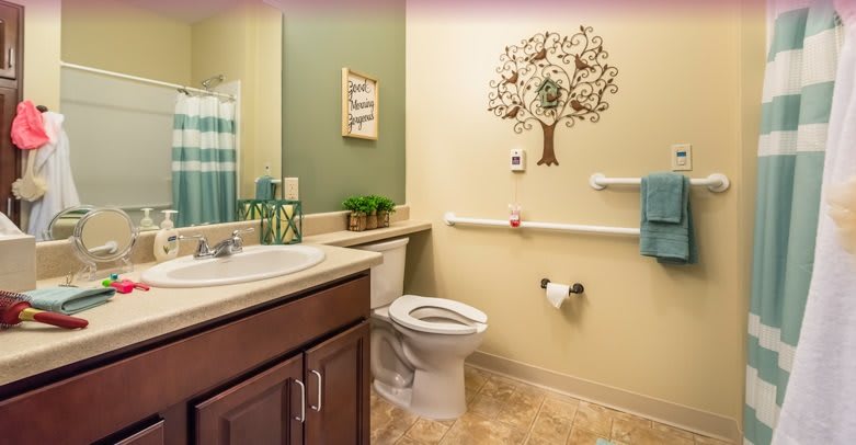 A well-decorated bathroom featuring a toilet, sink, and safety grab bars.