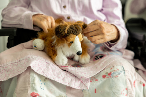 A person gently pets a plush collie dog, creating a warm and cozy atmosphere.