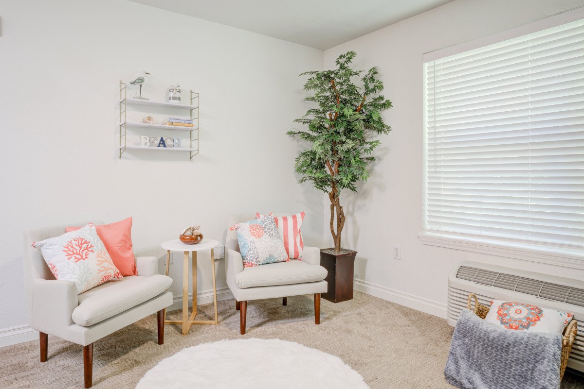 A cozy and modern living room with minimalist decor featuring a potted houseplant and comfortable seating.