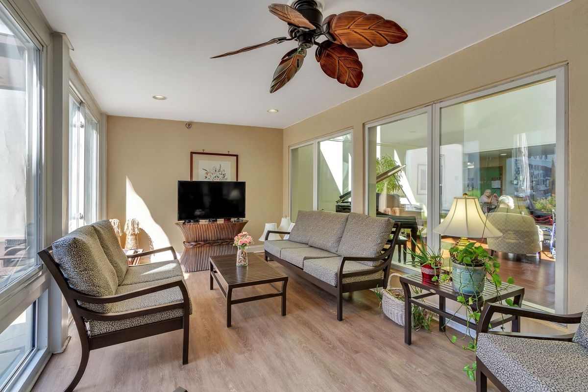 A cozy living room with ample natural light, featuring a seating arrangement, television, and decorative plants.