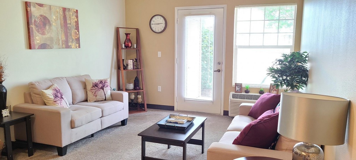 A cozy and minimalist living room featuring a sofa, coffee table, and decorative shelf.