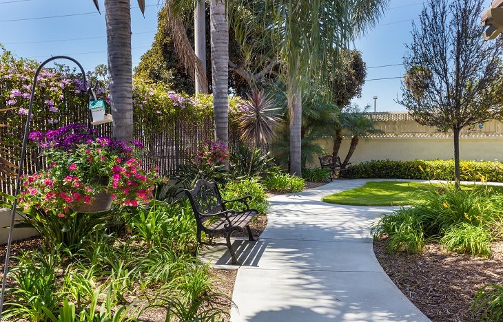 A serene garden pathway with a bench surrounded by lush greenery and colorful flowers on a sunny day.