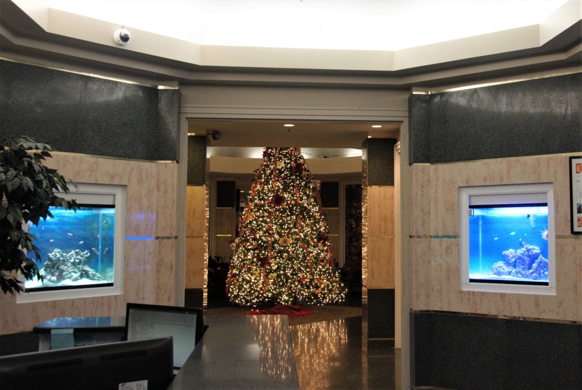 A beautifully decorated Christmas tree in a building lobby, surrounded by festive lighting.