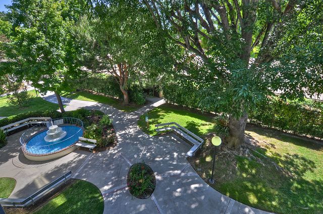 A serene park with lush greenery and winding pathways.