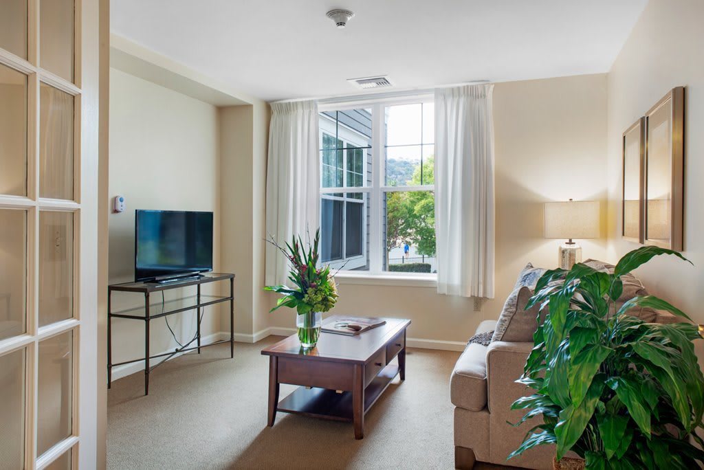 A cozy living room with a large window, featuring a sofa, coffee table, and television, decorated with plants.