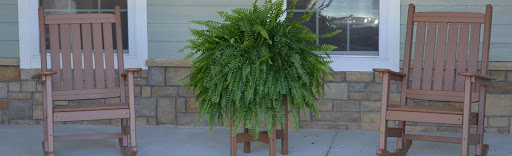 A lush fern displayed on a wooden stand, adding a touch of greenery to the outdoor space.