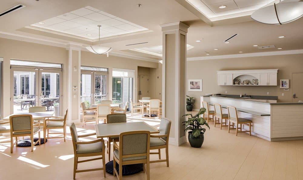A modern and spacious dining area with ample natural lighting, featuring tables, chairs, and decorative plants.