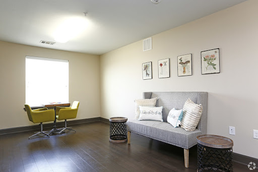 A modern living room featuring a gray sofa, decorative pillows, and framed artwork on the wall.