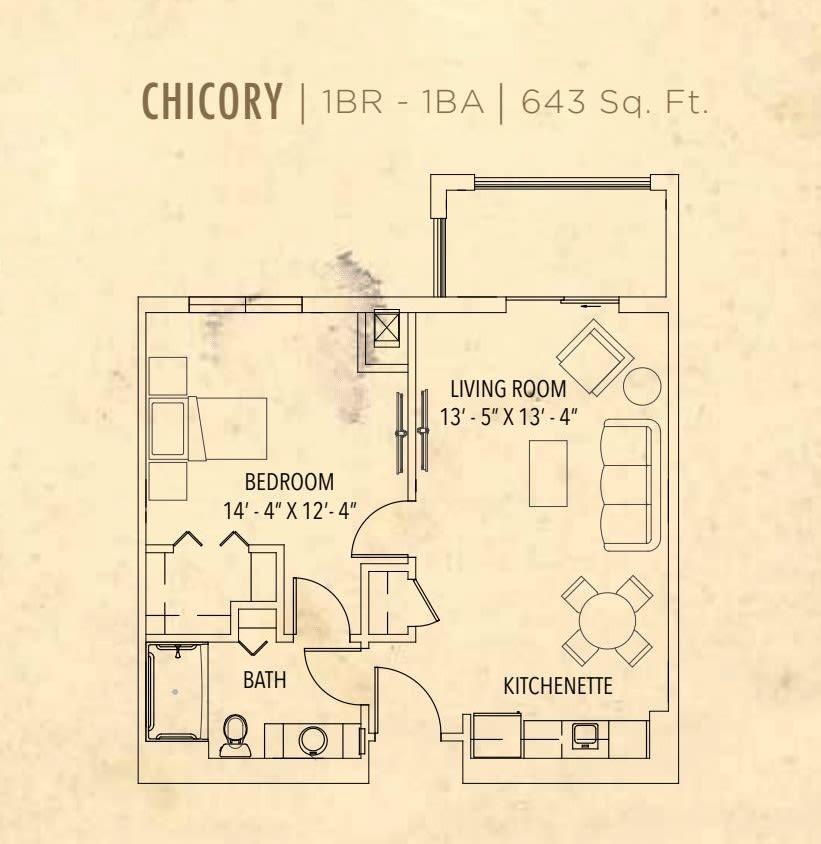 Chicory apartment floor plan featuring 1 bedroom, 1 bathroom, and a total area of 643 square feet.