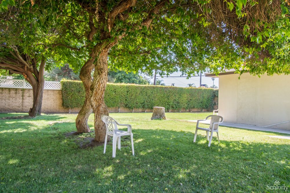 A peaceful backyard scene featuring two chairs under the shade of a large tree.
