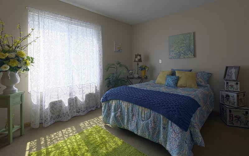 A cozy bedroom with natural light pouring through a window, highlighting the neatly arranged bed and tidy decor.